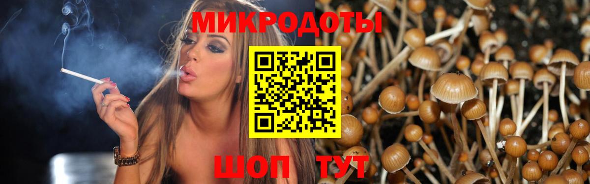 Анжеро-Судженск  Галлюциногенные грибы MAGIC MUSHROOMS  Вход с VPN  Псилоцибиновые грибы MAGIC MUSHROOMS 